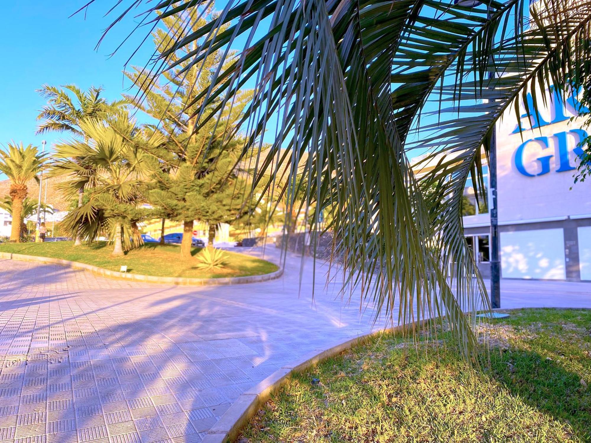 Apartment Tropicalidays Cristianos Angel Los Cristianos (Tenerife)